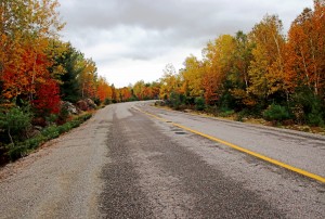 Driving Through Fall